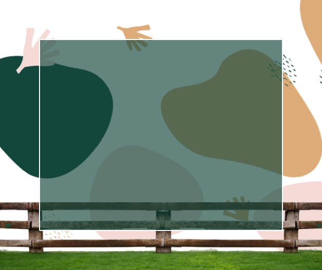 Most Recent Achievements